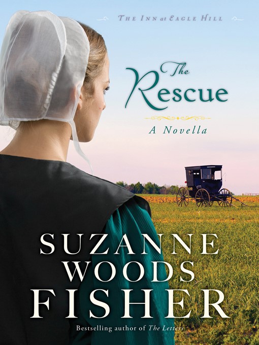 Cover image for The Rescue